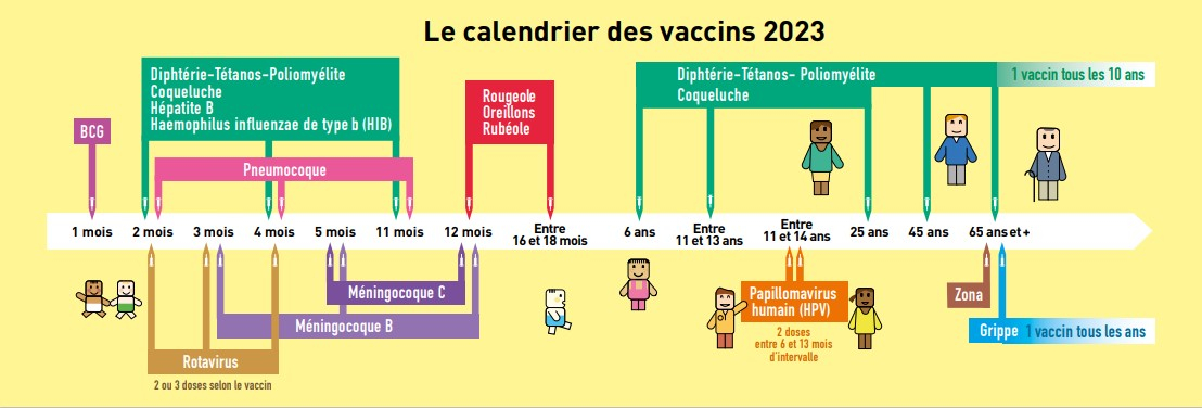 Frise calendrier vaccination 2023