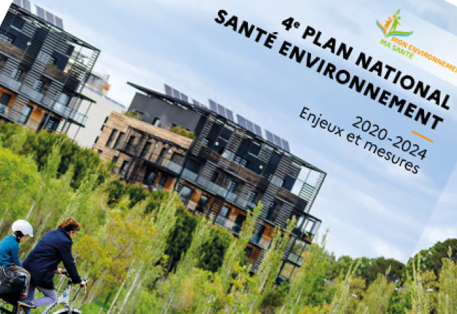 PNSE4