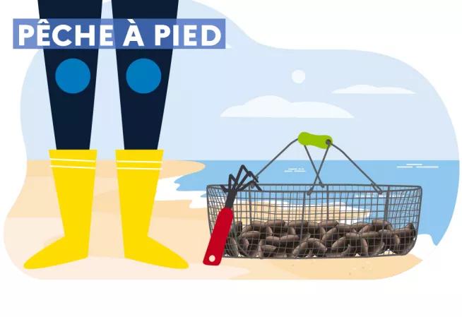 pêche à pied