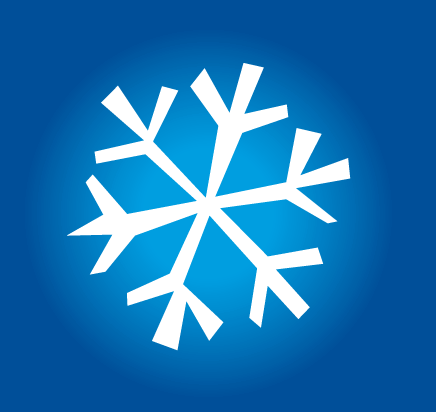 flocon de neige