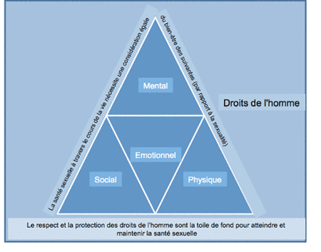 pyramide santé sexuelle