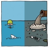 Baignade pollution