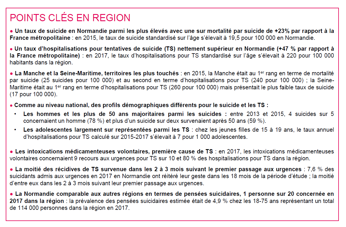 vignette suicide janvier 2019