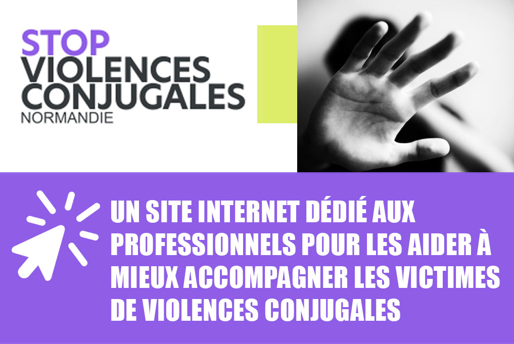 Lutte Contre Les Violences Conjugales Et Intrafamiliales Des Outils lutte-contre-les-violences-conjugales-et-intrafamiliales-des-outils