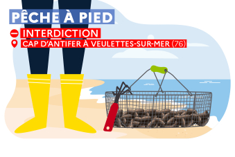 interdiction pêche à pied