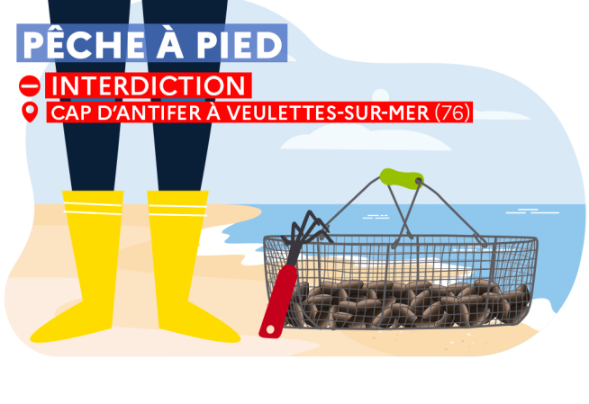 interdiction pêche à pied
