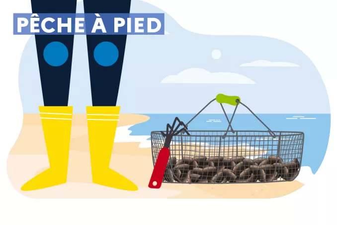 pêche à pied